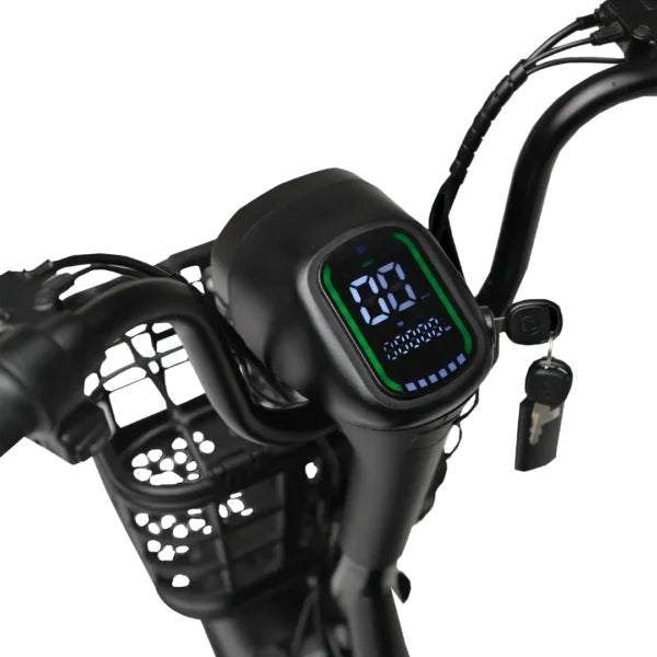 Evee Flipper Electric Bicycle