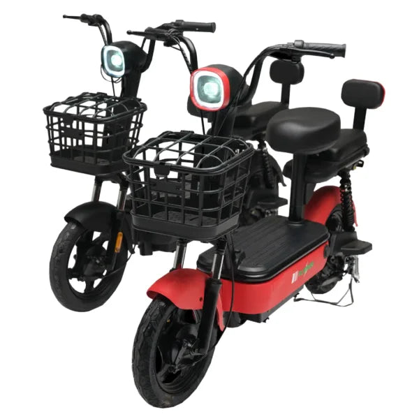 Evee Flipper Electric Bicycle